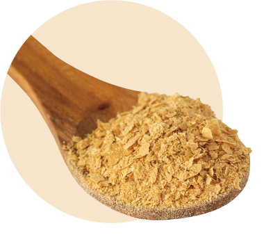 Engevita® 頂級營養酵母為全素雞精、無過敏原、高蛋白、高纖